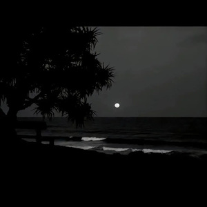 日本人做爰大片免费观看一饺子
